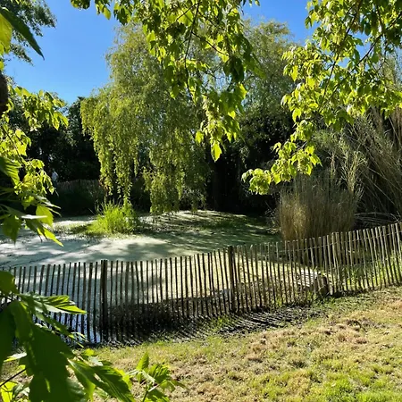 Instant Zen Bed and breakfast