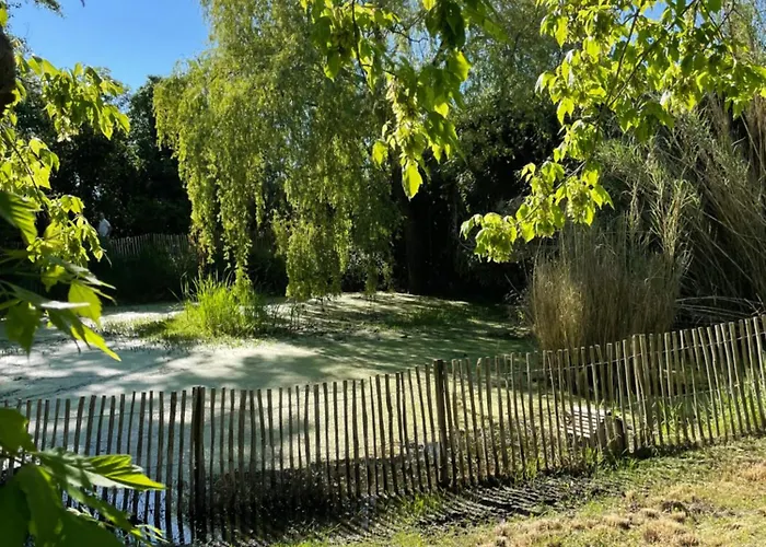 Instant Zen Frühstückspension